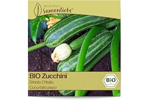 Samenliebe BIO Zucchini Samen alte Sorte Striato D'Italia aromatisch milde italienische Zucchini gestreift 10 Samen samenfestes Gemüse Saatgut für Gewächshaus Freiland und Balkon BIO Gemüsesamen
