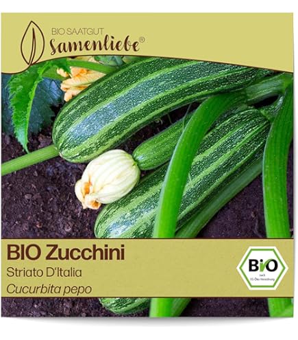 Bio Kletterzucchini Samen Alando® - Dunkelgrüne Früchte, Wüchsige Kletterpflanze