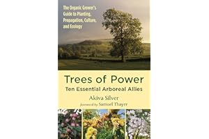 Trees of Power: Ten Essential Arboreal Allies