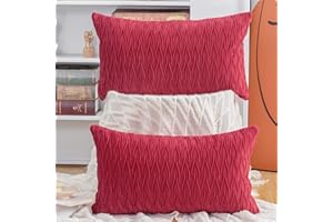 Madizz 2 Pezzi Federe in Velluto Copricuscini Morbido Decorativo Fodere per Cuscino Lusso Stile per Divano Camera da Letto Rosoo Rettangolare 30x50 cm