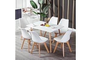 LafeuR Set da pranzo con 6 sedie, set da cucina, rettangolare, per 6 persone, per soggiorno, cucina, ufficio, (tavolo bianco+6 sedie bianche da pranzo)