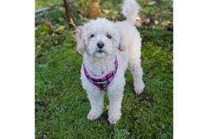 ALLPETSOLUTIONS All Pet Solutions All Pet Solutions Dog Puppy Harness Soft Adjustable Reflective Comfortable Vest (Medium, Pink Tartan), M