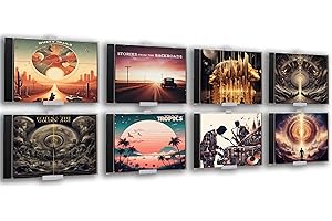 Naturalspring® CD Wandhalterung | Selbstklebend, ohne Bohren | Halter für 8 CD´s | Minimalistisch, Retro | CD Regal, CD Deko Wand, CD Halterung, CD Aufbewahrung (8er Set, Weiß)