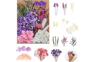LZYDKH Getrocknete Blumen, Trockenblumen zum Basteln Gepresste Blüten Natürliche Schleierkraut Getrocknet Klein Getrockneten Gemischte Deko für DIY Kunst Scrapbooking (Violett)