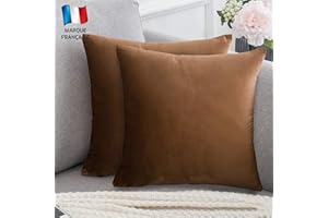 Douceur De Plumes Lot de 2 Housse de Coussin décorative Marron Velours 50x50 cm Uni, Taie d'oreiller Carré Doux et Moderne, Décoration Salon Scandinave Canapé Chambre (2 Marron)