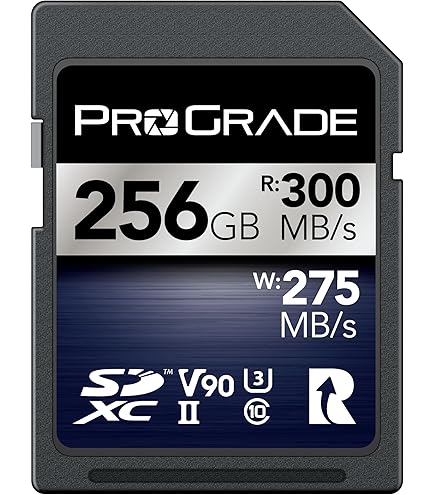 その他 ProGrade CFexpress Type B COBALT 650GB 3D1A8056_DxO.jpg?fit=2048,1152