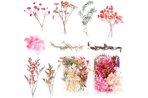 2 Boxen Heilok Natürliche Getrocknete Blumen,Getrocknete Gepresst Blumen Gemischte Getrocknete Blätter, Trockenblumen Set,Gepresste Blumen für DIY Basteln Handwerk Epoxidharz Scrapbooking Deko