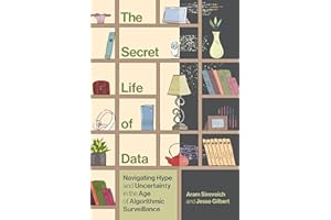 The Secret Life of Data: Navigating Hype and Uncertainty in the Age of Algorithmic Surveillance