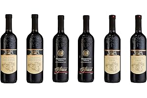 ‎THE WINE GUYS The Wine Guys Probierpaket "Süditalien zum Kennenlernen" (6 x 0.75 l)