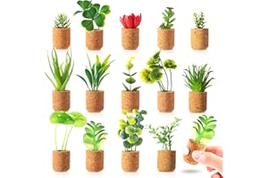 JUSTDOLIFE Aimants de réfrigérateur pour Plantes succulentes artificielles - Aimants de réfrigérateur pour Plantes succulentes en Pot - Autocollants Mignons pour tableaux magnétiques, réfrigérateur