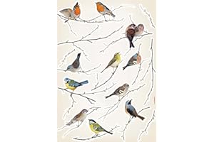BREWSTER HOME FASHIONS Brewster Komar Lv19005 Décollez et Appliquez Oiseaux européens Stickers muraux