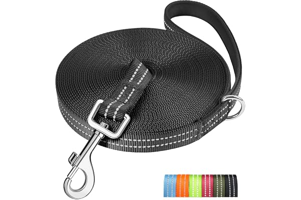 X XBEN Longe pour Chien 10M, Laisse de Dressage, Rembourrée, Durable et Léger, Longe pour Petit, Moyen et Grand Chien, avec Boucle en D