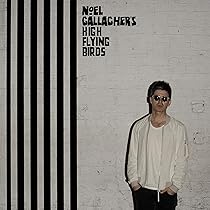 Noel Gallagher's high flying birds: Amazon.pl: Płyty CD i