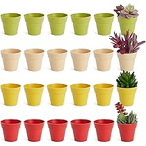 819HVhU1XiL._AC_UL210_SR210,