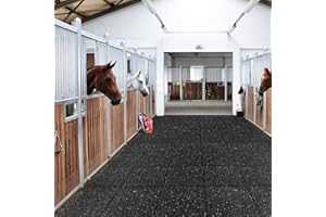 KARAT Tapis d'écurie en granulés de Caoutchouc - Sol d'écurie - coupé sur Mesure (Hauteur: 1,97 cm, 62,5 x 250 cm)