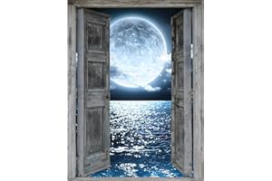 DPHERO Kit di pittura a forma di luna fai da te per adulti e bambini, 5D notte di luna, set fai da te con strass, per decorazioni per la casa, 30 x 40 cm
