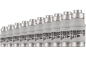 REV Ritter - Fusibile tipo ritardato D02/E18 35A, 10 pezzi