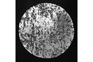 WEINIBAO Tovagliette Rotonde Argento, 12 Pezzi Tovagliette Colazione Sottopiatti Rotondi Rete Placemats, Tappetini da Pranzo in Lamina d'argento, Decorazione per Tavolo da Pranzo, Cucina, Ristorante, Matrimoni