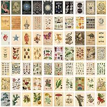 Quadro Tela Set Da 4 Poster Botanici Vintage – Stampe Fiori Selvatici E Foglie Per Decorazione Casa, 40x50 Cm