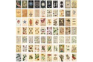 TYFYH Pack of 70 Vintage Botanical Wall Collage Kit, Aesthetic Wall Collage Set, Indie Room Décor, Vintage Wall Collage Kit for Dorm Decor, Wall Art Prints, Aesthetic Photo Display