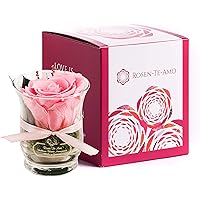 Rosen-Te-Amo, duftende Premium konservierte ewige Rose pink in Vase handgefertigt mit echtem Bindegrün in feiner…