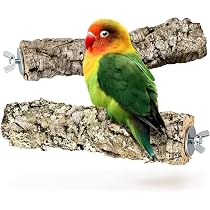 Papageien Sitzstange Aus Naturholz | Vogelleiter 32,6 Cm | Für Käfig Von Wellensittichen, Nymphensittichen
