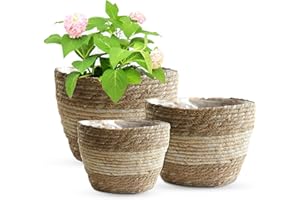 O'woda 3 Piezas Cesta de Planta, Colgante Maceta Mimbre de Almacenamiento de Floral, Decorarción Exterior Interior Balón Jardín, Beige, 26CM, 22CM, 18CM