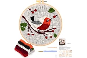 JSRQT Kit Aiguilles à Poinçonner pour Débutants, Punch Needle Broderie Kit avec Motif d'Oiseau pour Enfant Adulte, Set de Point Croix de Broderie Aiguille Poinçonner avec Punch Needle de Outil