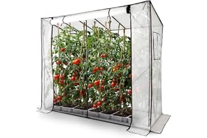 Arebos tomatväxthus filmväxthus | stort växthus