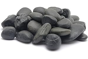 Marina Gravier décoratif pour Aquarium