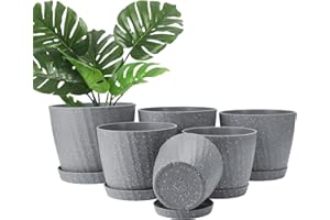 CSYY Plant Pots Indoor, 6Pack Plastic Plant Pots 19/17.5/16.5/15.5/14/11.5cm, Flower Pots Outdoor Self Watering Indoor Plant Pot with Drainage Holes and Tray, Plastic Planter for Garden House Plants(Grey)