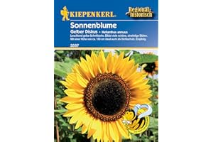 Kiepenkerl Profi-Line Sonnenblumensamen Gelber Diskus 3597, Beliebte Schnittblume, Nahrungsquelle für Nützlinge, Ideal für den Schnitt, Sonnenblumen, Blumensamen für 20 Pflanzen