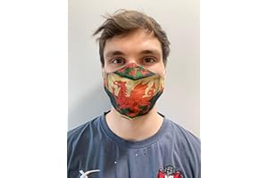 YC SPORTS Urban Bricks Face Mask -Water Repellent, Machine Washable Anti Dust Mask Face Mouth Mask, Fashion Reusable Washable Outdoor Unisex Mask, Anti-Pollution Facemask (Vintage Welsh Flag)