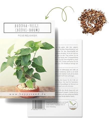 calathea blue grass Blue Grass Plant | Calathea Rufibarba main image 1