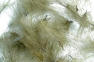 HARELINE DUBBIN Pechetruite 1g - CDC (Cul de Canard) Federn - Olive - Für Fliegenbinden