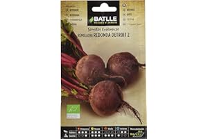 Semillas Batlle Remolacha Detroit 2 - ECO