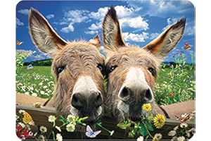 Magnes 3D LiveLife – osły od DeluxeBase Soczewkowy magnes na lodówkę 3D Farm Magnes na lodówkę dla dzieci i dorosłych z licencją dzieła sztuki autorstwa renomowanego artysty, David Penfound