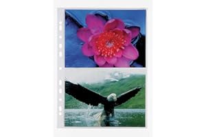 ELBA Favorit 100460152 - Buste Foratura Universale, 2 Tasche, 21 x 15 cm, Trasparente