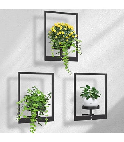 Wand Pflanzenhalter Bilderrahmen 40x30cm - Metall Pflanzenregal Für Sukkulenten