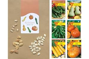 FRANKONIA Gemüse Samen Set: Samen-Sortiment / 3 Kürbissorten und 3 Zucchinisorten/Zucchini Black Beauty/Zuchini Partenon F1, Mehrfarbig, BU12