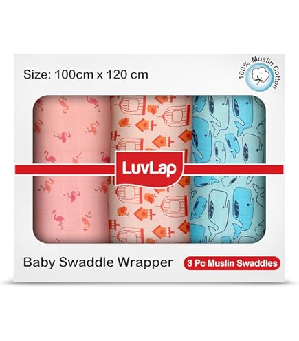 8-Quart Digital Air Fryer