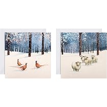 Pack of 12 Season's Greetings Cards & Envelopes. 3 Designs. Full
