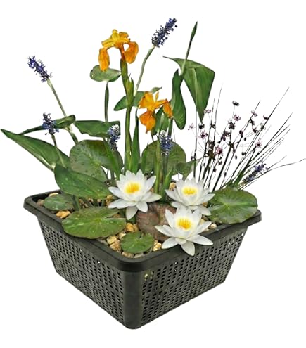 blumenständer metall design Blumenständer Metall mit 8 Eimern main image 0