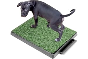 QWORK® 63 x 51 cm Toilettes pour Chien avec Herbe Artificielle, Facile à Nettoyer, pour Chiots et Chiens âgés