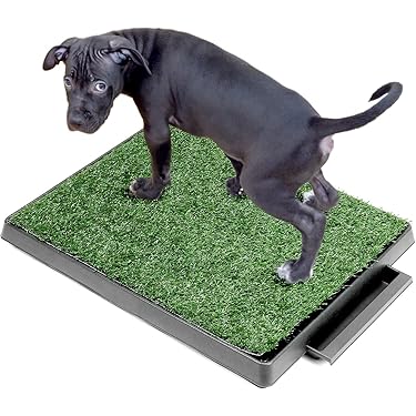 SET DI 3 Lettiera Per Cuccioli Ispessita Toilette Per Cani Toilette Per