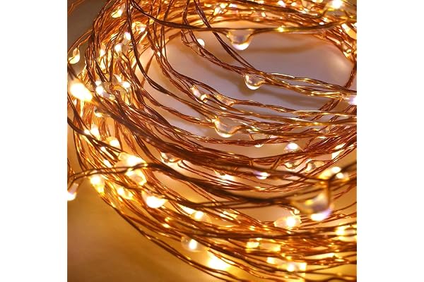Desidiya 3AA Battery Powered Copper String Decorative LED Fairy Lights Warm White, 5 Meters, 50 LED's (Pack of 1)
