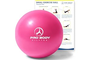 ‎PROBODY PILATES ProBody Pilates Ball Kleiner Gymnastikball, 9-Zoll-Barre-Ball, Mini-Soft-Yoga-Ball, Trainingsball für Stabilität, Barre, Bauch, Rumpf, Physio- und Physiotherapieball für das Fitnessstudio