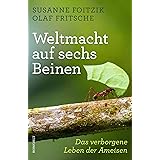 Weltmacht auf sechs Beinen: Das verborgene Leben der Ameisen