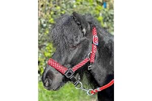 COUNTRYPRIDE POLKA DOT HEADCOLLAR WITH LEAD ROPE FULL-MINI SHETLAND (Red, Pony)
