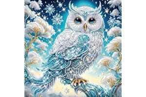 SUNSIERWEI Juego de pintura de diamantes para niños con marco de madera, juego completo de cuadros de pintura de diamantes para niños y animales, pintura de diamantes 5D para niñas, fabricación de